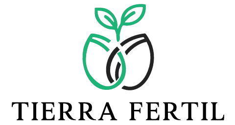 system logo