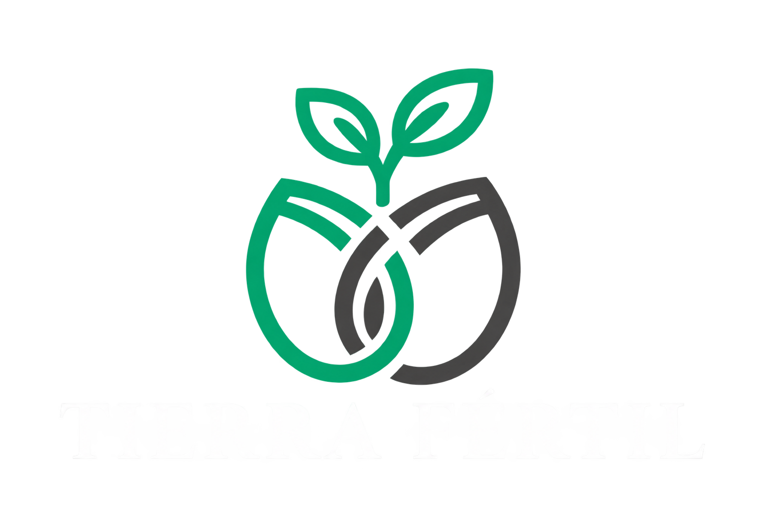 system logo